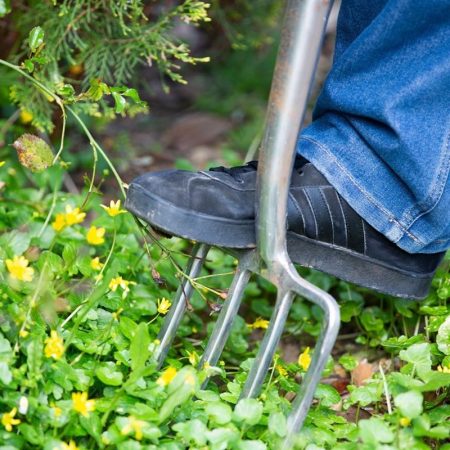 imgi_3_Learning-Disabilities-1a